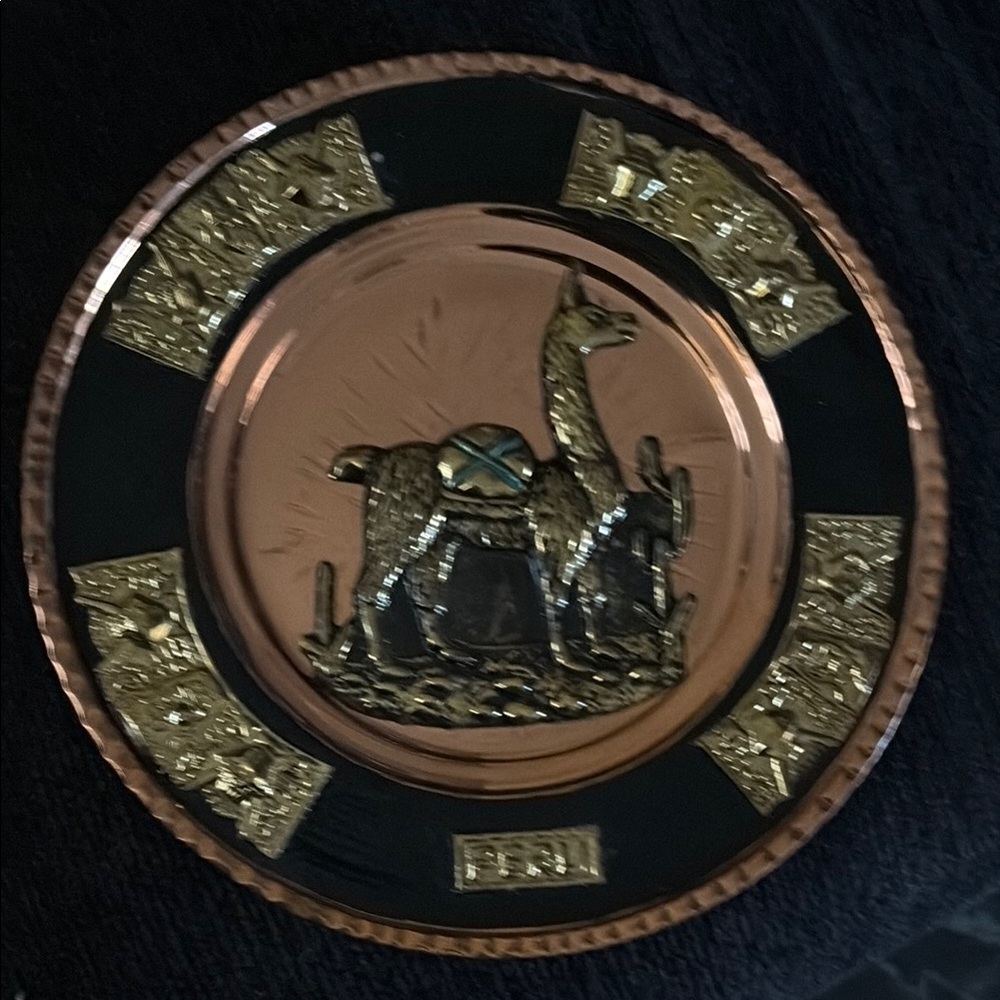 Decorative Copper and Black Wall Plate